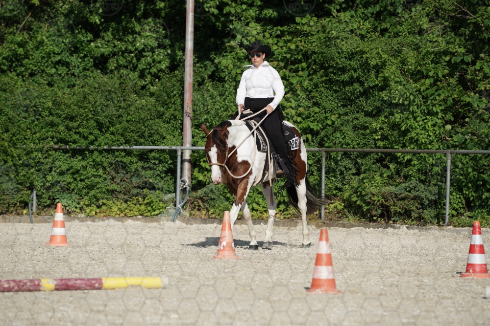 s_APF07002.jpg